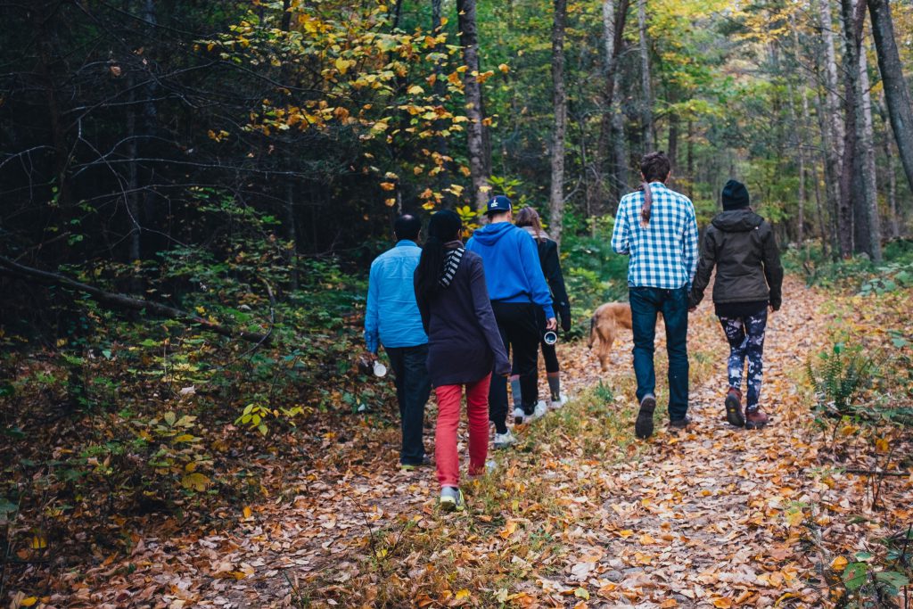 Get active and go for a walk